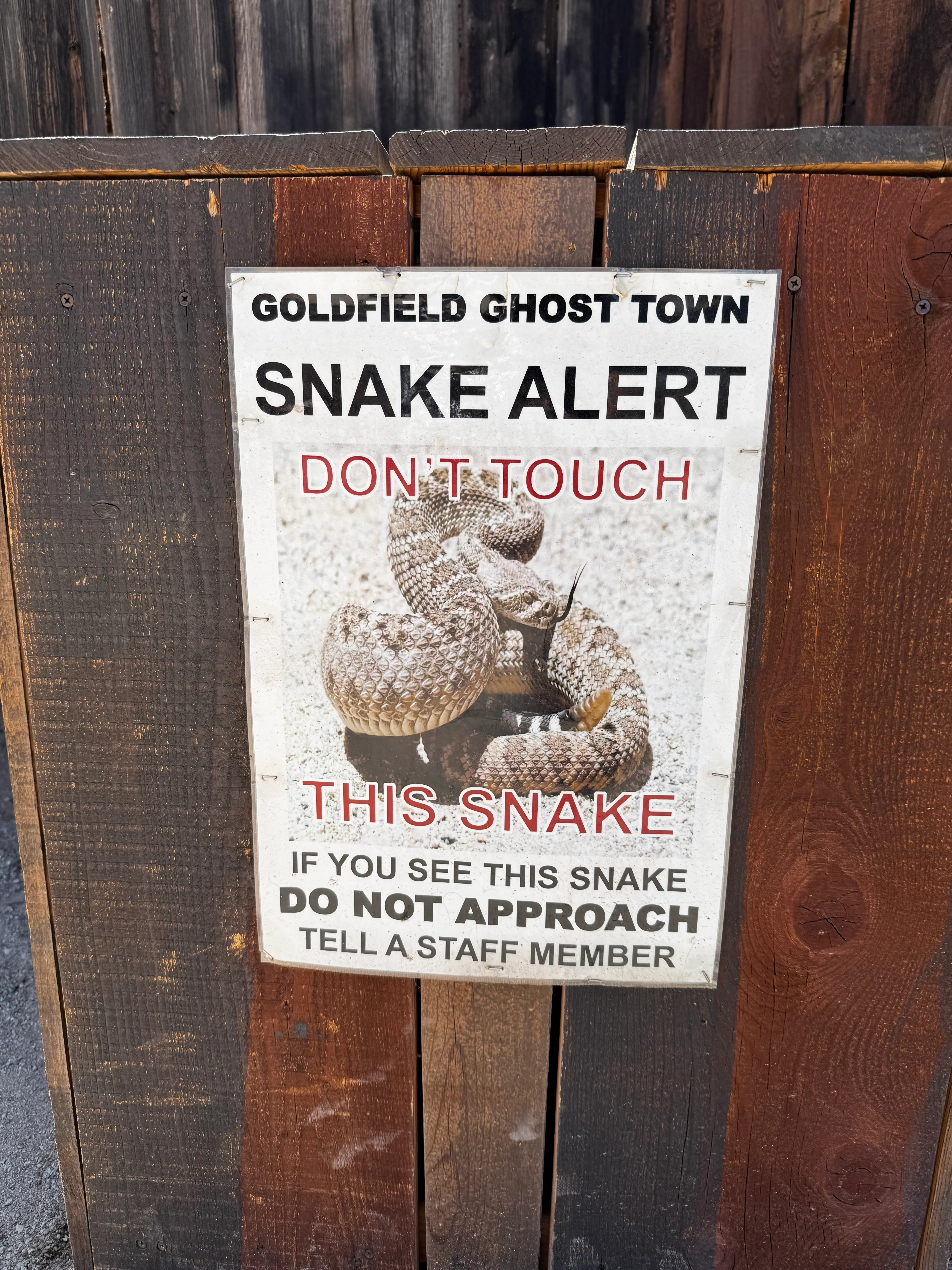 Snake Warning