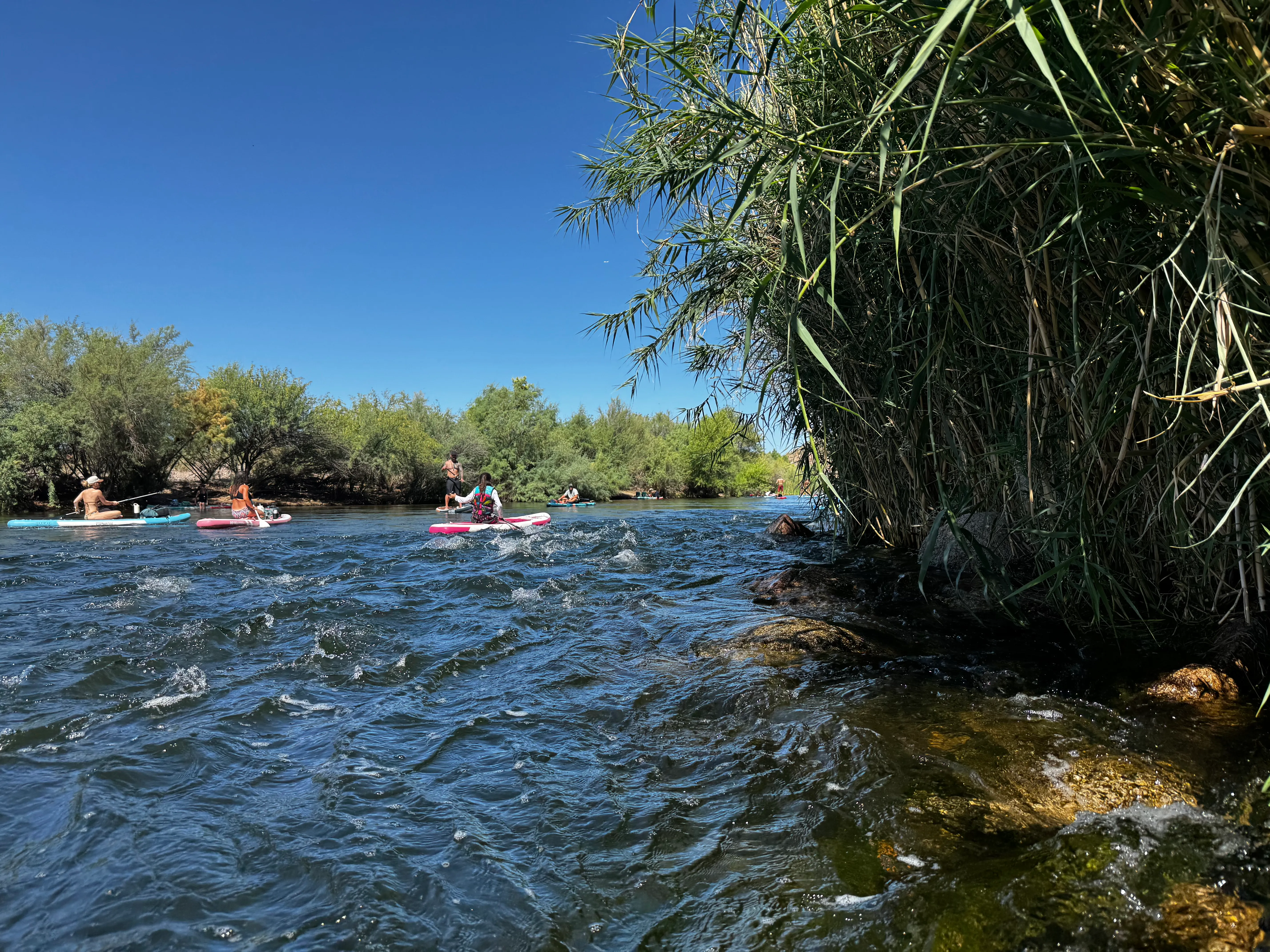Picture of the river